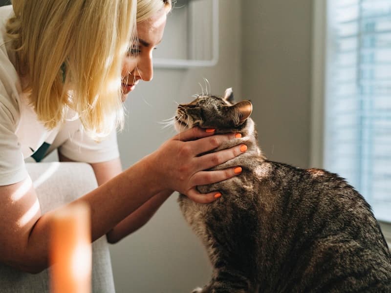 Friendly veterinarian caring for a dog at Greenfield Veterinary Glasgow